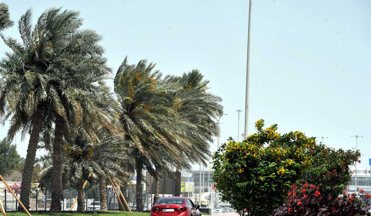 Strong wind